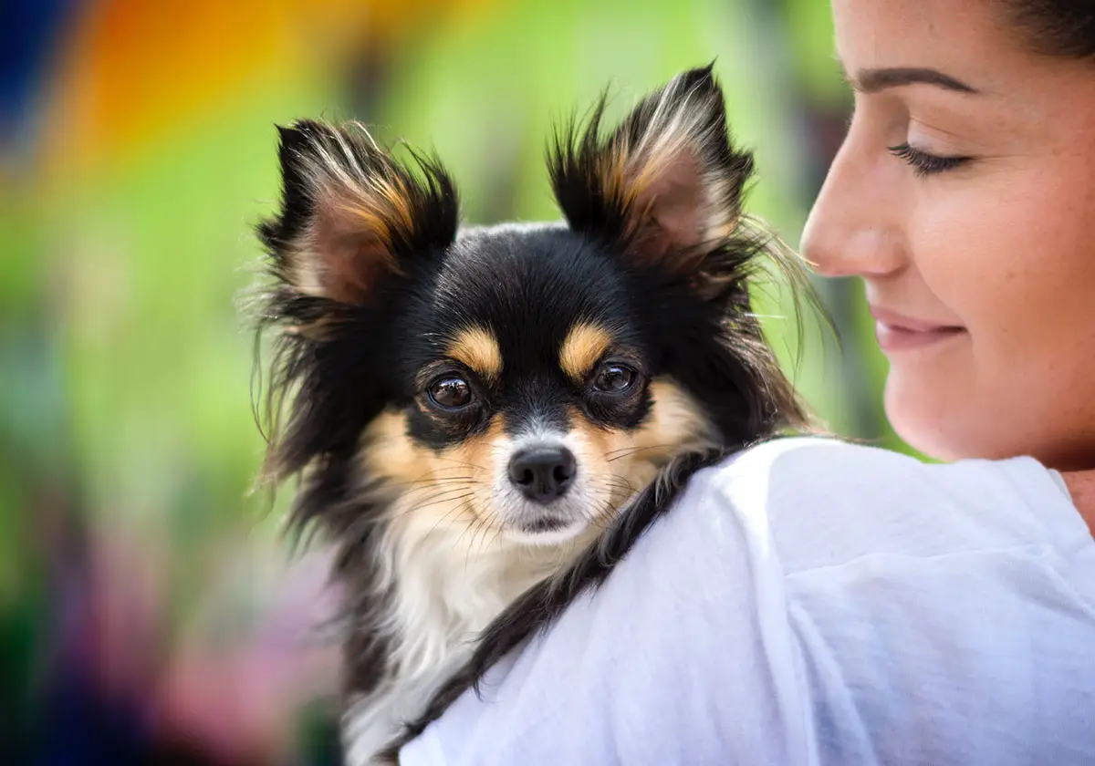 mother-dog-portrait
